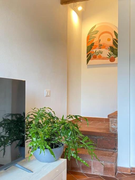 Relax&Business Wi-Fi, Tv Hd, Parcheggio Gratuito Villa Capannori Bagian luar foto